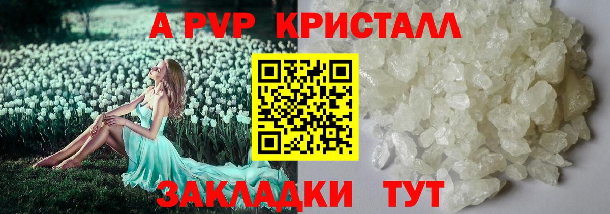 A PVP крисы CK  Вход с VPN  Alfa_PVP СК  хочу   Татарск 