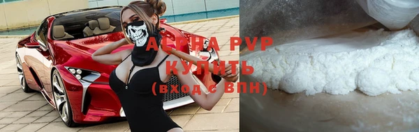 гидра Каменногорск