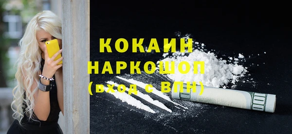 ГАЛЛЮЦИНОГЕННЫЕ ГРИБЫ Каменка