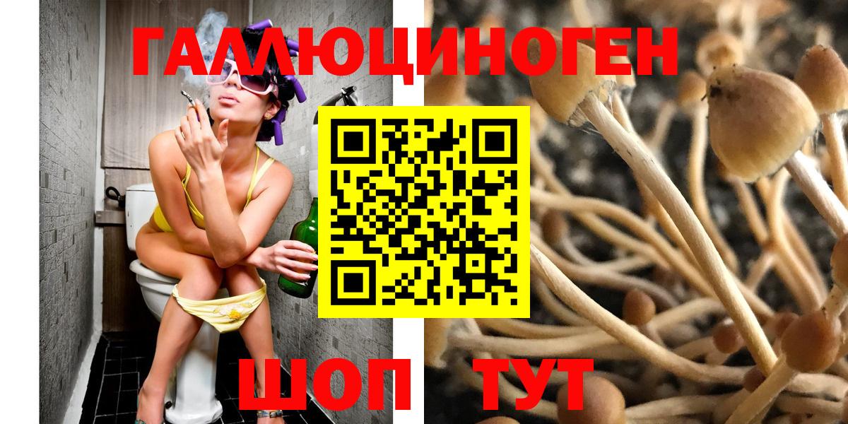 Псилоцибиновые грибы MAGIC MUSHROOMS  Вход с VPN  Татарск 